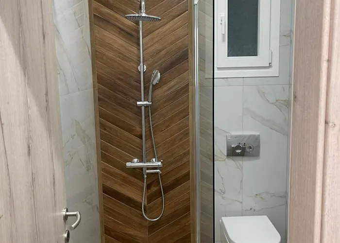 Xenia Luxury 公寓 卡泰里尼